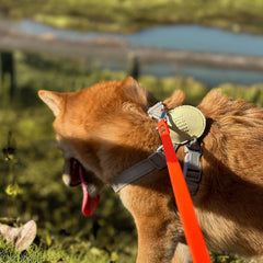 AUMAILI waterproof dog training long leash 15ft for balanced freedom and safe leash management