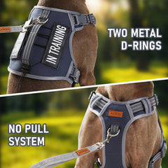 AUNZO harness with back-clip for easy leash attachment and relaxed walks