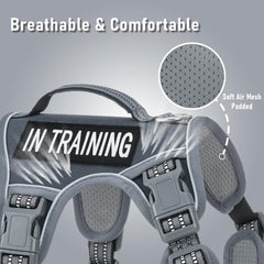 AUNZO harness with reflective trim for high-visibility safety
