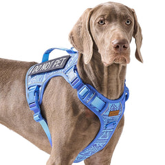 AUNZO No Pull Harness front clip in action guides large dogs on walks.