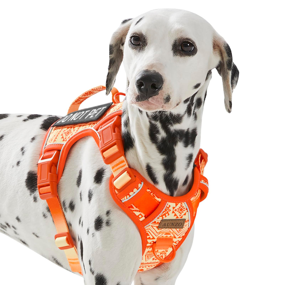 AUNZO Tactical dog vest harness front view showing no-pull design for controlled walks