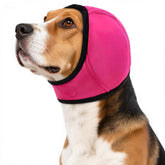 AuraPaw dog calming hoodie water-resistant worn during swim to keep ears dry.