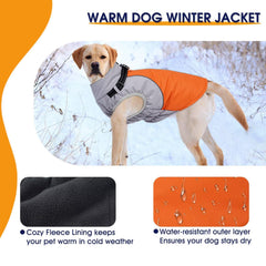 AuraPaw reflective fleece jacket improves visibility during night walks.