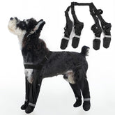 AuraPaw dog suspender boots on paw provide a secure, outdoor-ready fit.