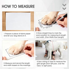 AuraPaw night walks feature reflective strips for higher visibility.