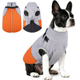AuraPaw small dog coat with built-in harness for secure walks.