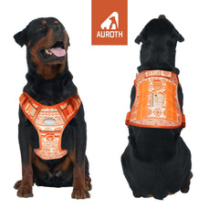 AUROTH dog harness back-clip jogging enables comfortable, steady casual walks.