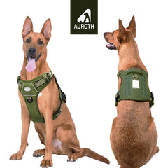 AUROTH dog harness back view showing dual leash attachment points for versatility