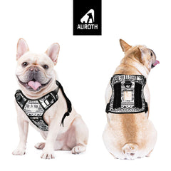 AUROTH dog harness shows four adjustable rings for a snug, secure fit.
