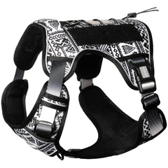 AUROTH dog harness front clip for no-pull training during walks.