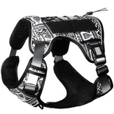 AUROTH dog harness front view with no-pull design for controlled walks