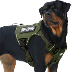 AUROTH dog harness front view with no-pull clip for safer walks
