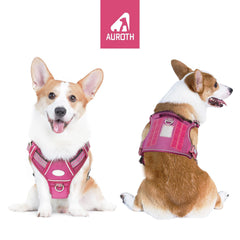AUROTH Tactical dog harness back view showing dual leash points for versatility