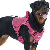 AUROTH Tactical dog harness with closed buckles for quick on/off and secure fit.