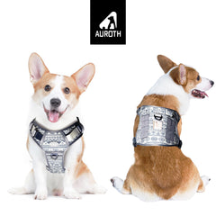 Auroth Tactical Dog Harness front clip demonstrates no-pull control for training.