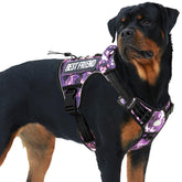 AUROTH Tactical Dog Harness front view in purple camo for secure no-pull control.