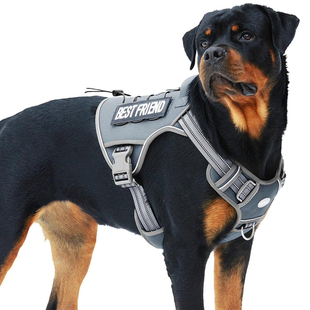AUROTH Tactical Dog Harness front view demonstrates no-pull control for confident walking.