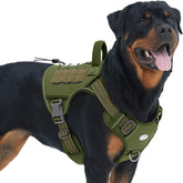 AUROTH Tactical dog harness front view with no-pull design for better control.