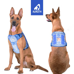 AUROTH Molle-equipped harness allows carrying gear and patches