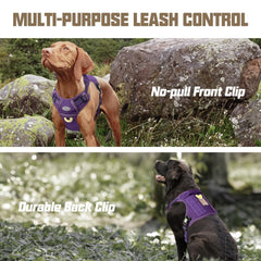 AUROTH Tactical Dog Harness Purple MOLLE system on the side supports patches and gear.