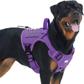 AUROTH Tactical Dog Harness Purple front view shows snug, no-pull fit for confident strides.