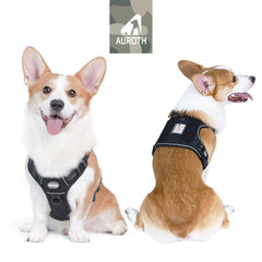 AUROTH Tactical Harness small dog back view showing sturdy nylon and padding
