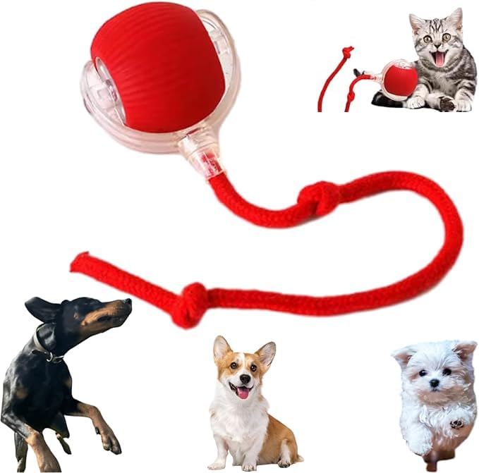 Autrety Christmas dog ball front view shows engaging rolling action for interactive play.