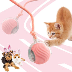 AUTRETY dog ball side view highlights durable ABS shell for safe indoor play.