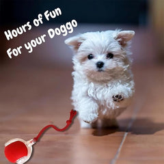 Autrety dog ball side view highlights a sturdy shell for resilient indoor fun.