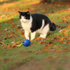 AUTRETY obstacle-avoidance cat-ball prevents sticking during play.