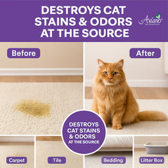 Aviano Cat Enzyme Cleaner on carpets and upholstery removes stains and odors.