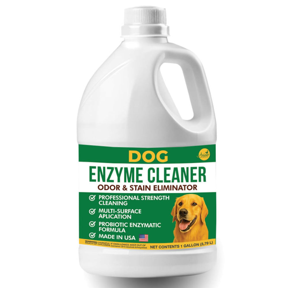 Aviano Enzyme Cleaner for Dog Urine bottle cleans messes at the source for quick freshness.