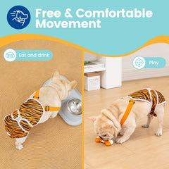 Avont Frenchie dog diaper full-coverage image shows all-around protection.
