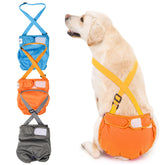 Avont washable dog diaper pack setup shows reusable protection for everyday accidents.