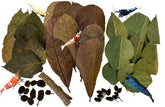 Awesome Aquatic Shrimp Combo Kit catappa leaves provide habitat and biofilm support for shrimp.