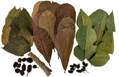 Awesome Aquatic Shrimp Combo Kit mulberry leaves offer protein-rich nutrition for shrimp vitality.