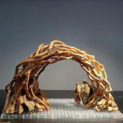 AWXZOM driftwood centerpiece front view adds natural texture to your aquascape.