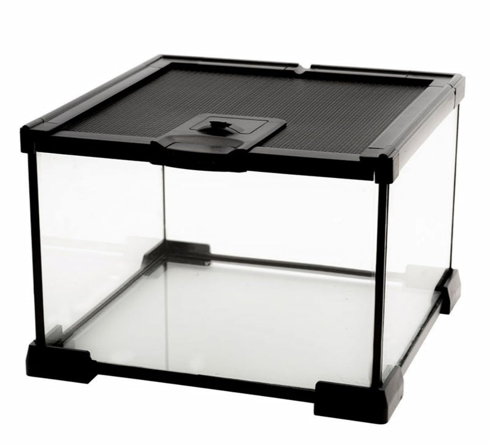 AWXZOM Mini Reptile Glass Terrarium front view shows clear visibility for observation