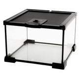 AWXZOM Mini Reptile Glass Terrarium front view shows clear visibility for observation