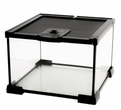 AWXZOM Mini Reptile Glass Terrarium front view shows clear visibility for observation