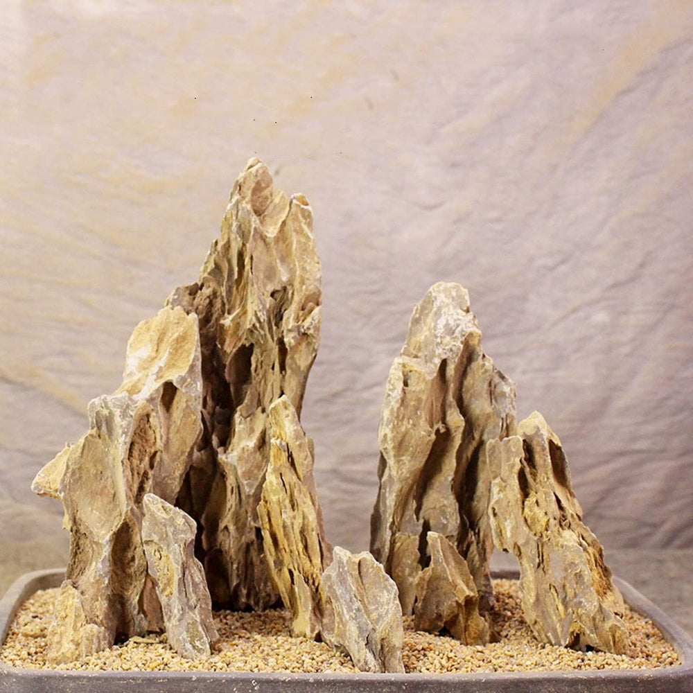 AWXZOM natural dragon rock 6-8 inch for tank drama and hiding spaces