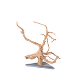 AWXZOM natural large spiderwood 9-14inch ideal for aquascaping and hiding spots.