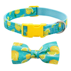 azuza dog collar bow tie lemon pattern close-up for festive photos