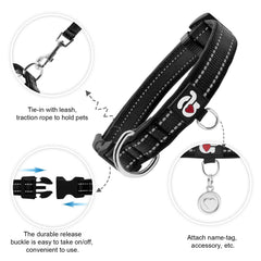 Azuza Quick-release buckle collar with chrome D-ring for easy on/off.