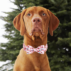 Babole Pet pink snowman collar buckle detail shows sturdy quick-release design.