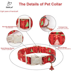 Babole Pet leash-ring area showing reinforced D-ring for reliable leash attachment.