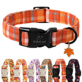 Collar Babole Pet con cuadros naranja y talla extragrande, ideal para paseos diarios.