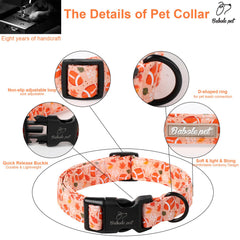 Babole Pet adjustable collar size 16-24 inches fits most dogs.