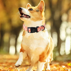 Babole Pet Halloween pattern collar featuring bats and ghosts supports festive walks.