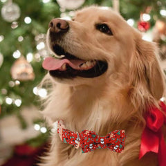 Babole Pet gingerbread-pattern bowtie adds playful holiday flair during outings.